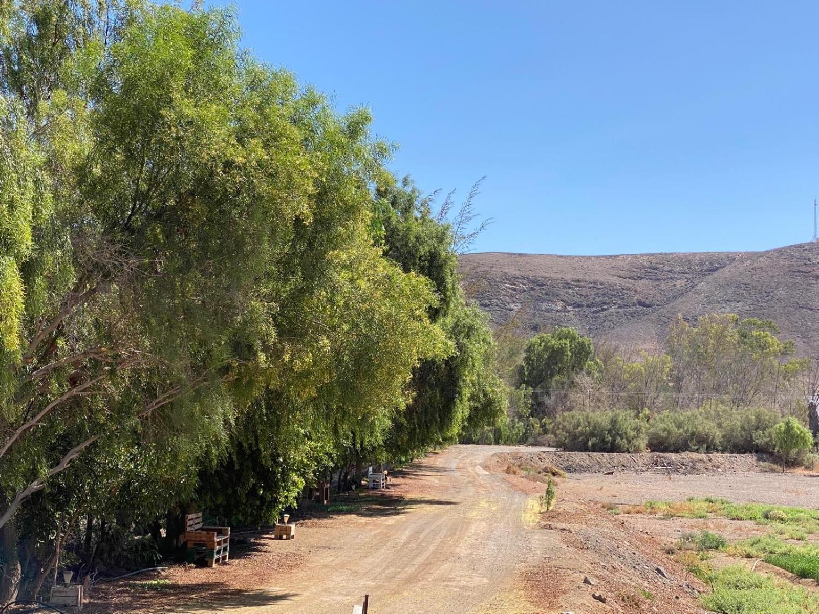 הוילה טרחלחו Casa Yamile חדר תמונה